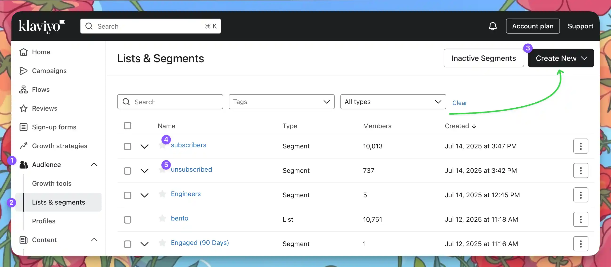 Klaviyo dashboard with Lists and Segments highlighted