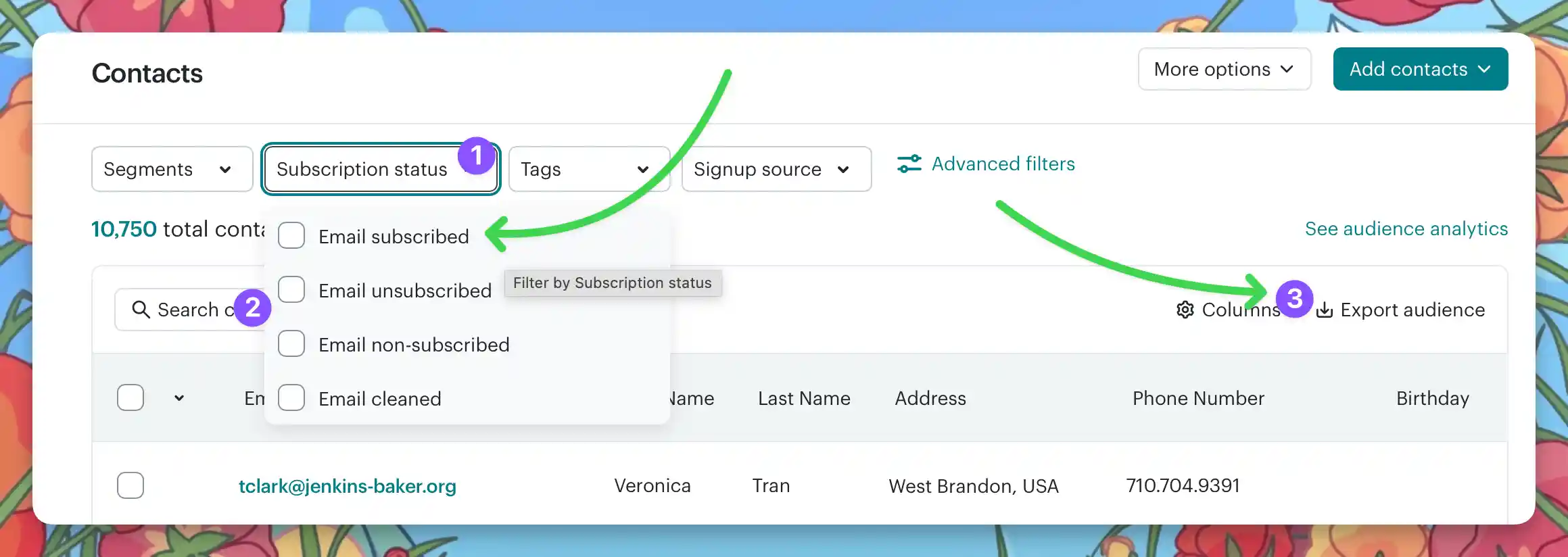 Exporting subscription statuses in Mailchimp