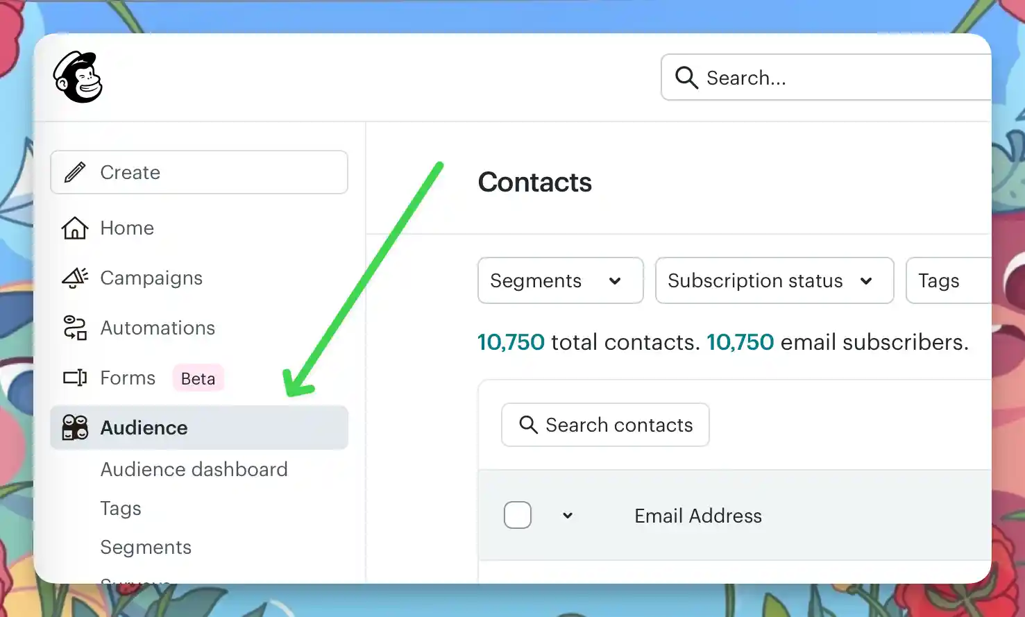 Mailchimp audience dashboard